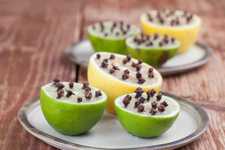 Limoni e chiodi di garofano in un piatto come repellente per insetti