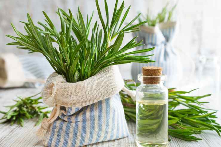 sacchetto con rosmarino e boccetta con olio essenziale