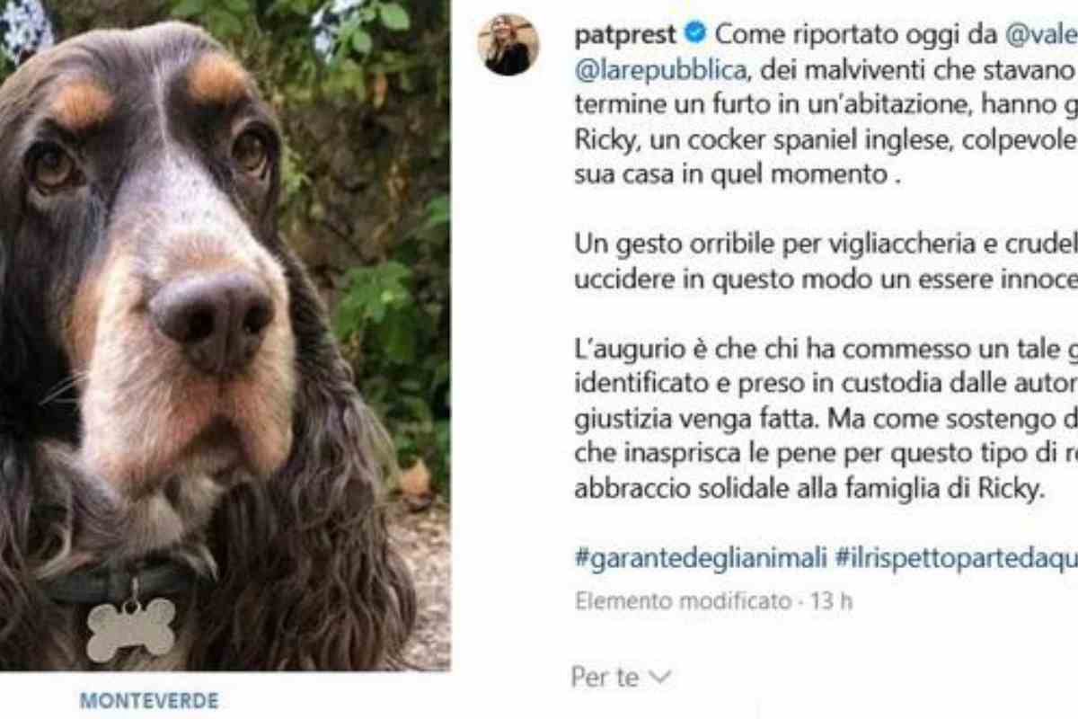 cane ucciso a roma