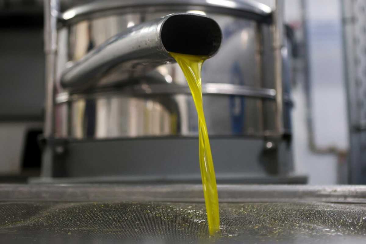 produzione di olio in un frantoio