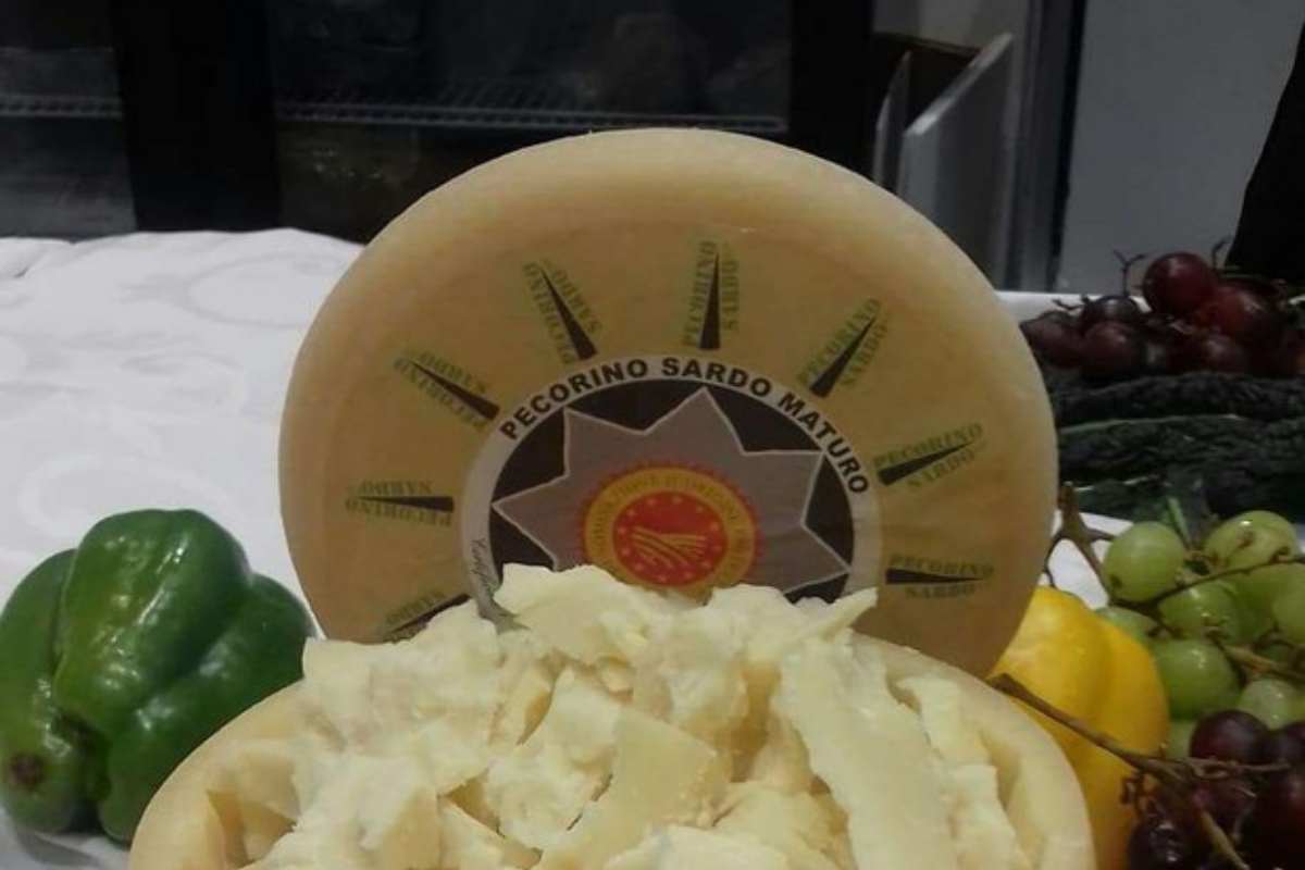 una forma di pecorino sardo