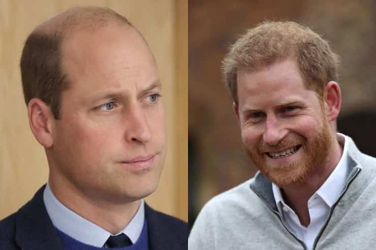 harry e william