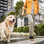 Un uomo a passeggio con il cane al guizaglio