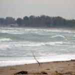 Un mare agitato con un bosco sullo sfondo