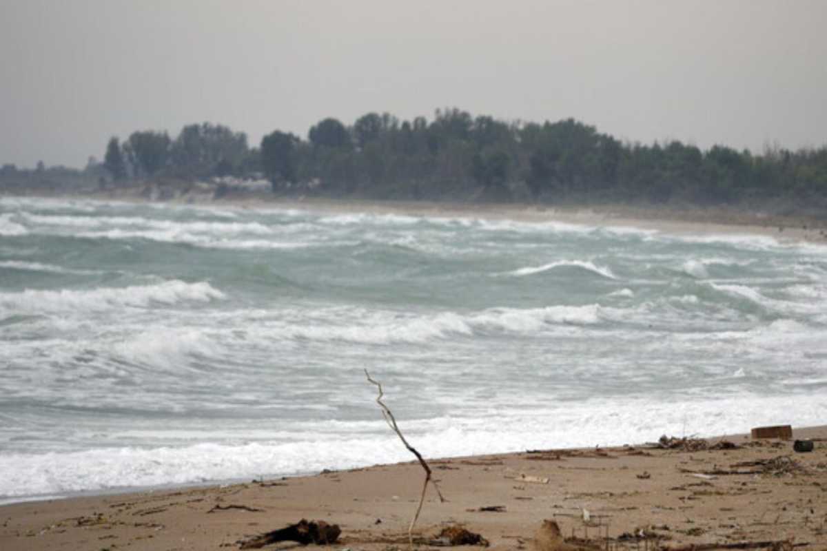 Un mare agitato con un bosco sullo sfondo