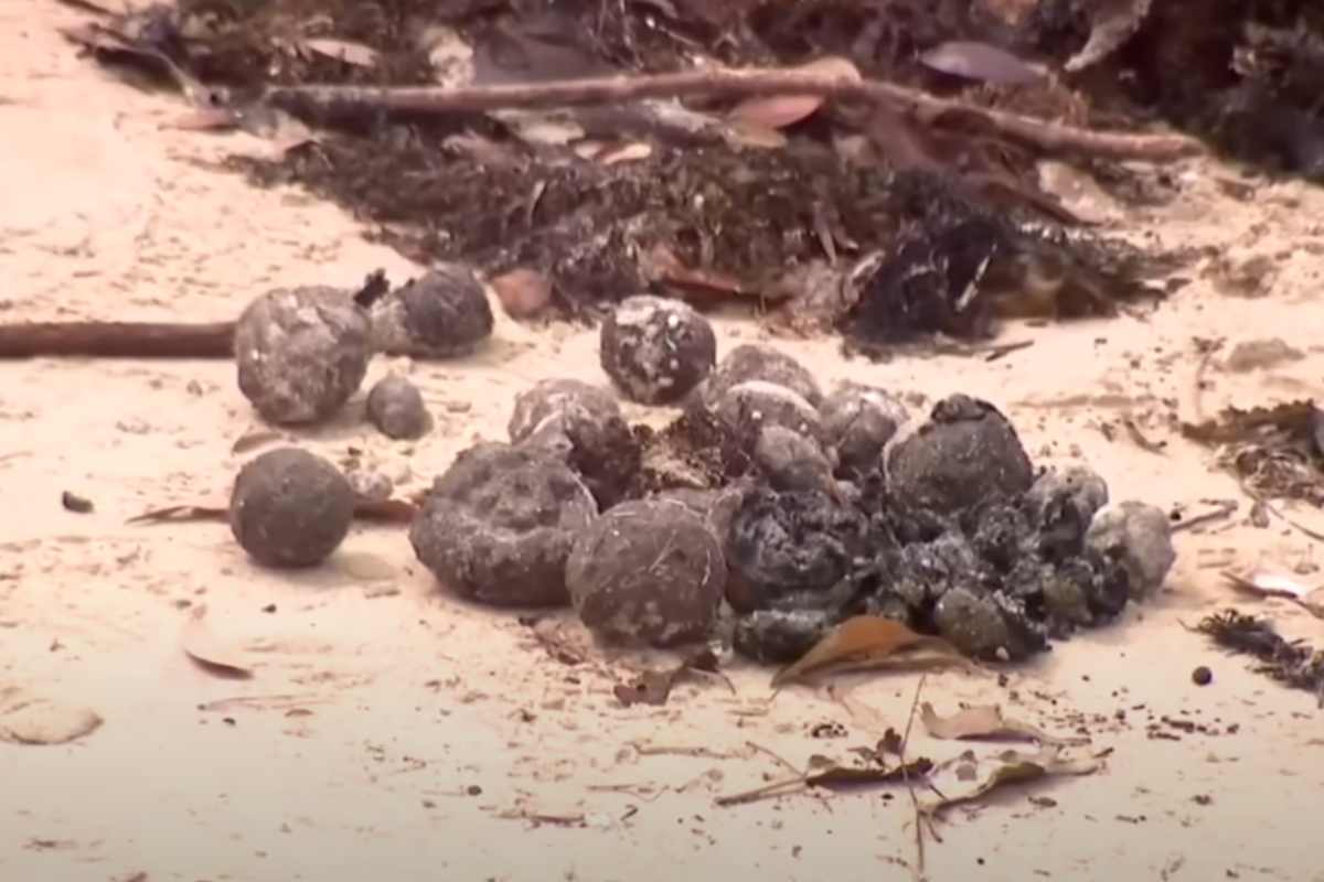 tar balls, le palline di catrame sulle spiagge in australia