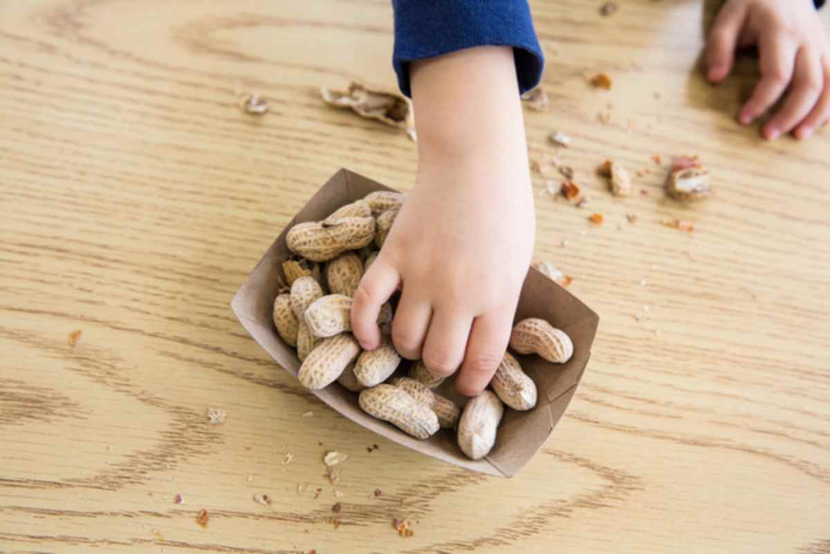 Un bambino mette la mano in un contenitore pieno di arachidi