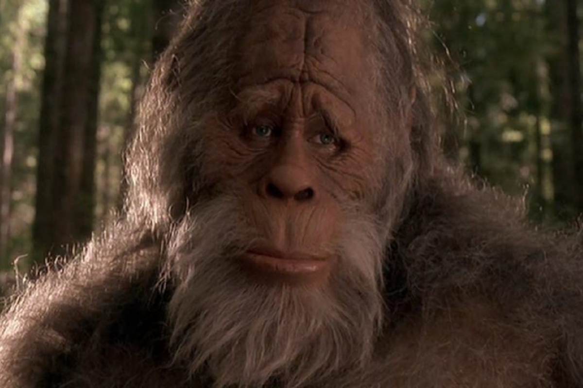 un frame del film bigfoot