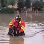 vigile del fuoco salva cane durante l'alluvione in emilia