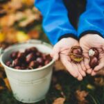 castagne