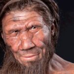 Uomo di Neanderthal, fu ucciso dal clima