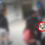 Un'immagine del video che mostra il ladro di orologi a Milano