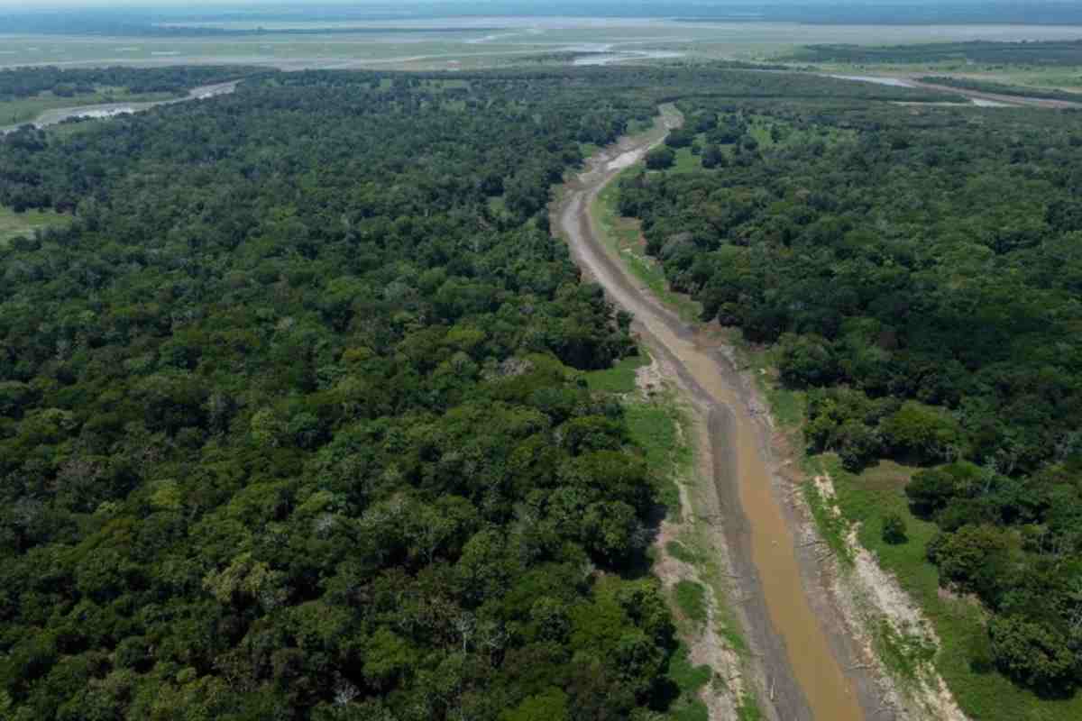 Panoramica dall'alto di un paesaggio verde e rigoglioso in Amazzonia