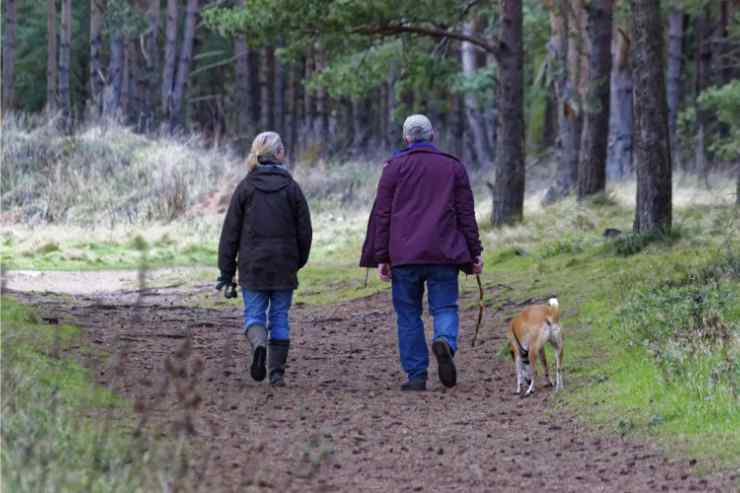 anziani in un bosco con il cane