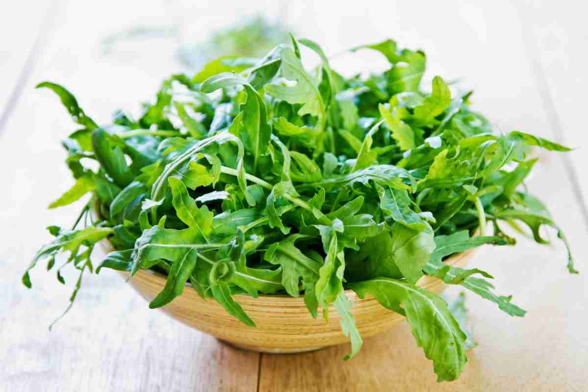 ciotola con rucola