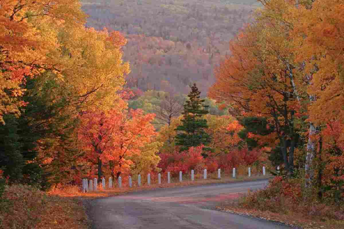 Un paesaggio autunnale