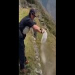 Una turista sparge ceneri umane sul Machu Picchu