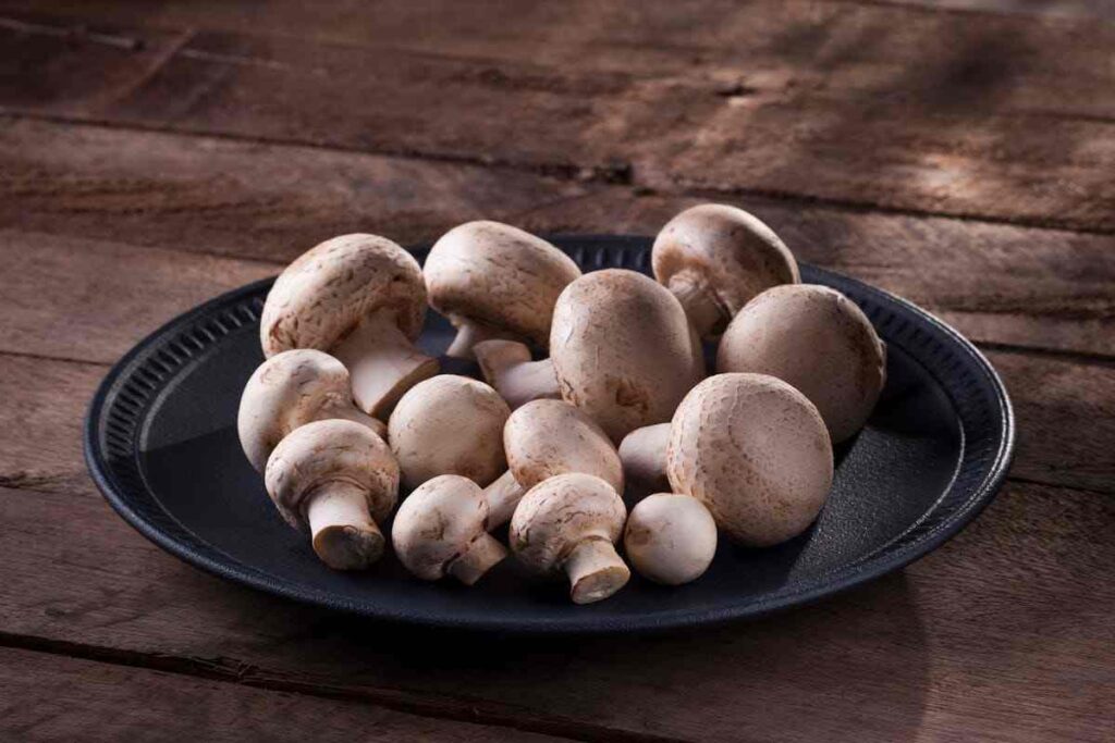 una porzione di funghi champignon su un piatto