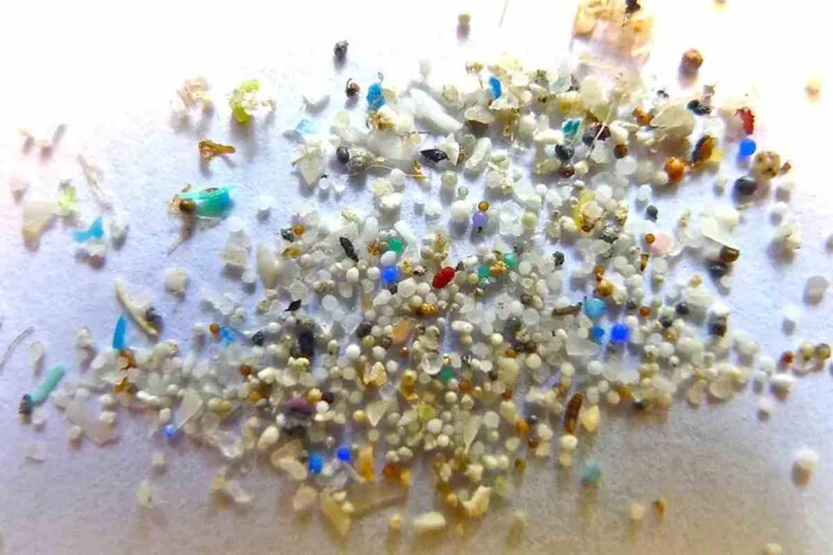 Delle microplastiche