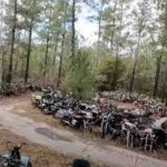 moto abbandonate in un bosco in alabama