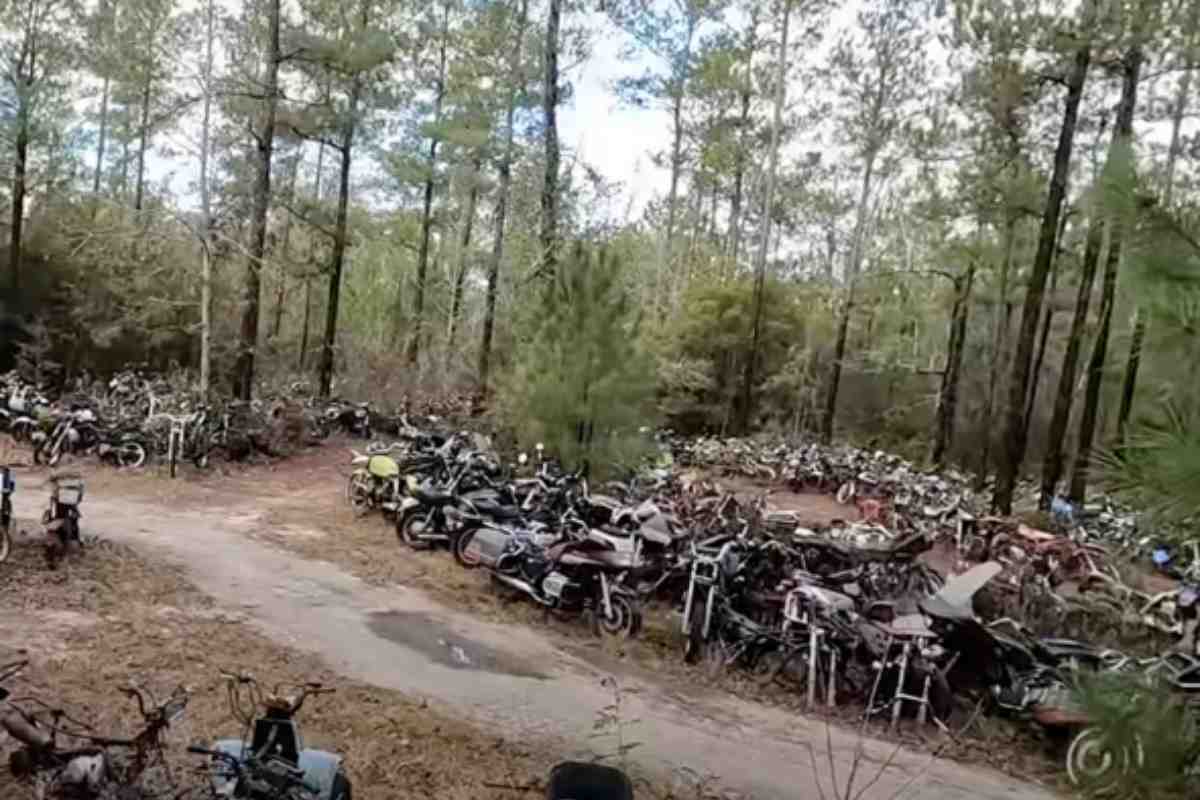 moto abbandonate in un bosco in alabama