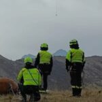 Mucca sedata e imbragata dai Vigili del Fuoco