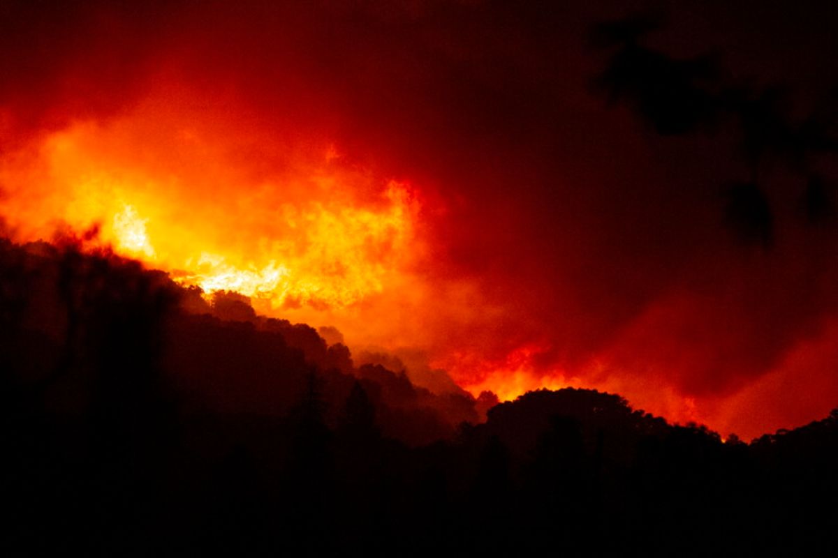 Un grosso incendio tra la vegetazione