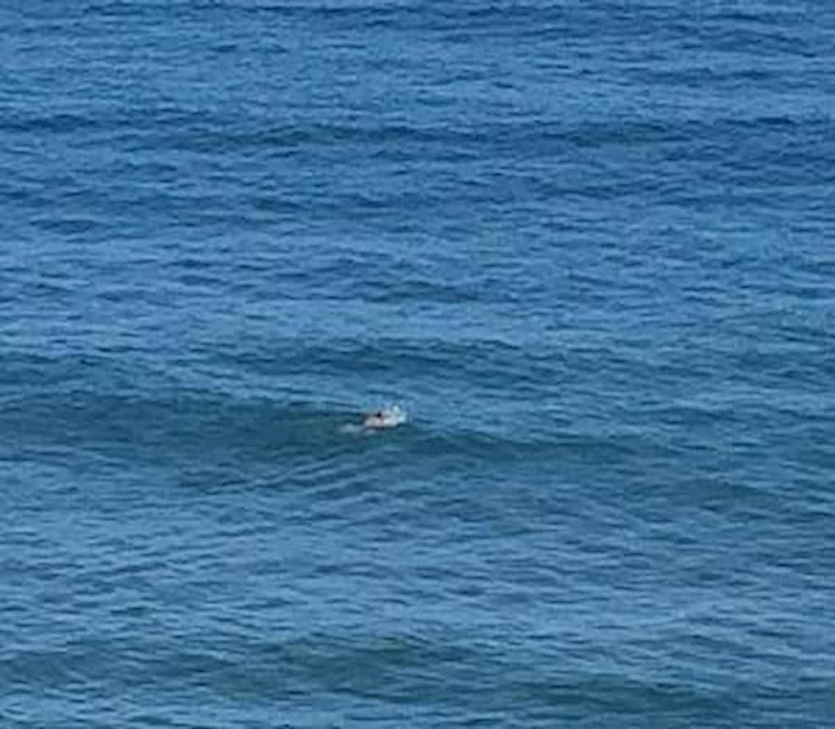 Il mare in Liguria a 20 gradi di novembre, testimonianza di un nuotatore che sfida l'inverno 