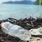 una bottiglia di plastica abbandonata nell'ambiente