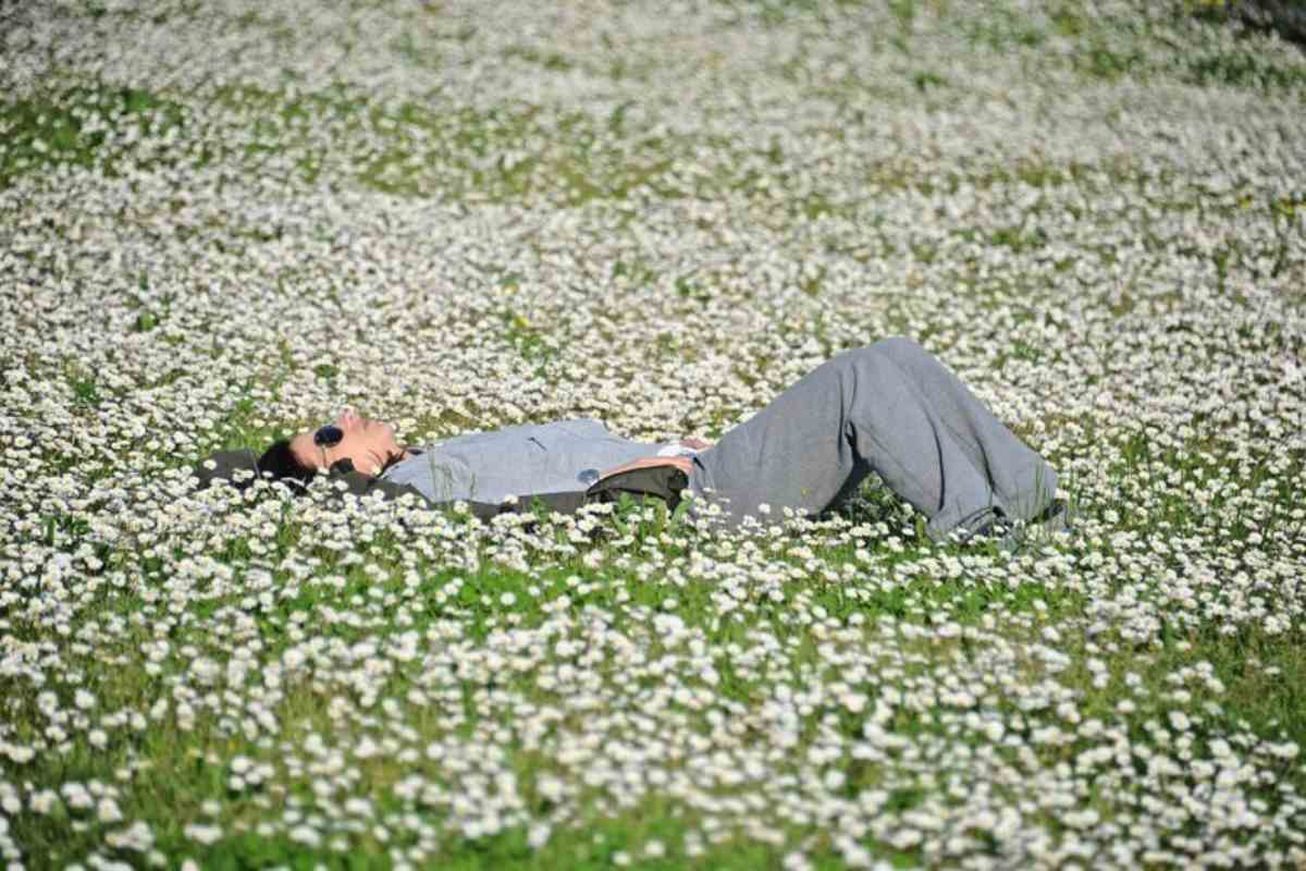 ragazza sdraiata sul prato