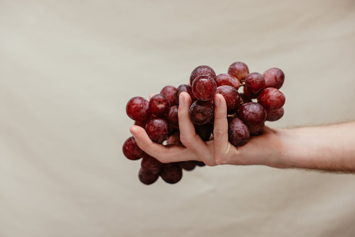 una mano tiene un grappolo di uva rossa