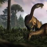 Rappresentazione in 3D dei dinosauri