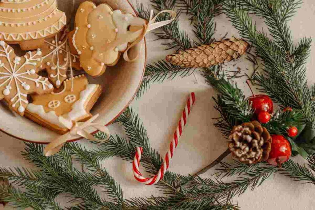 biscotti di Natale vegani