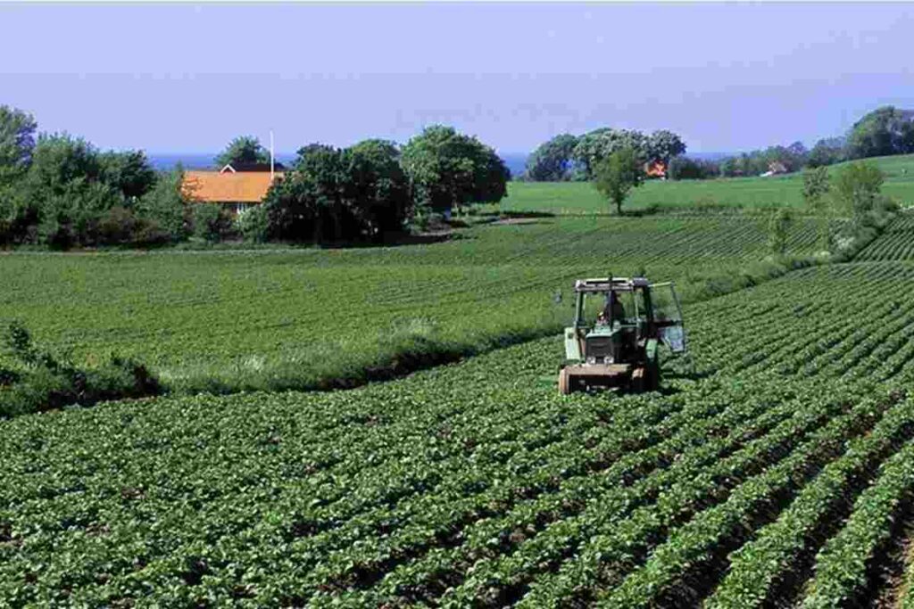 Il lavoro duro nei campi