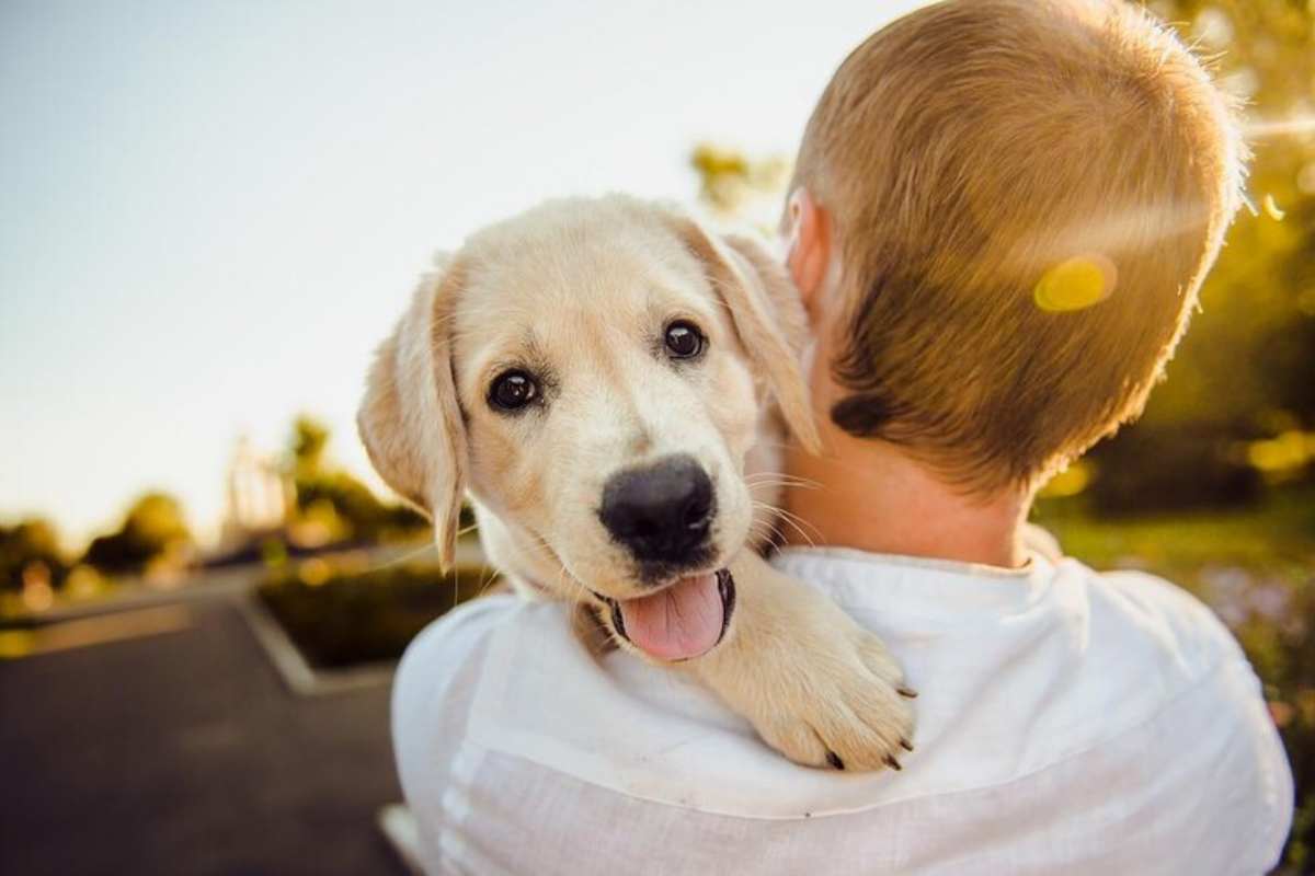 cane in braccio al padrone