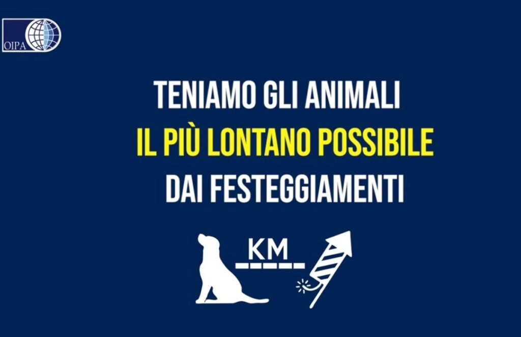 il primo consiglio dell'Oipa per proteggere gli animali dai botti di Capdanno