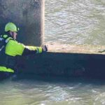 Il video dei vigili del fuoco che salvano un chihuahua dalle acque gelide del fiume