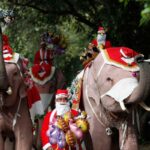 elefanti vestiti da babbo natale