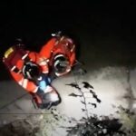 vigili del fuoco salvano un gatto sulle rive del fiume