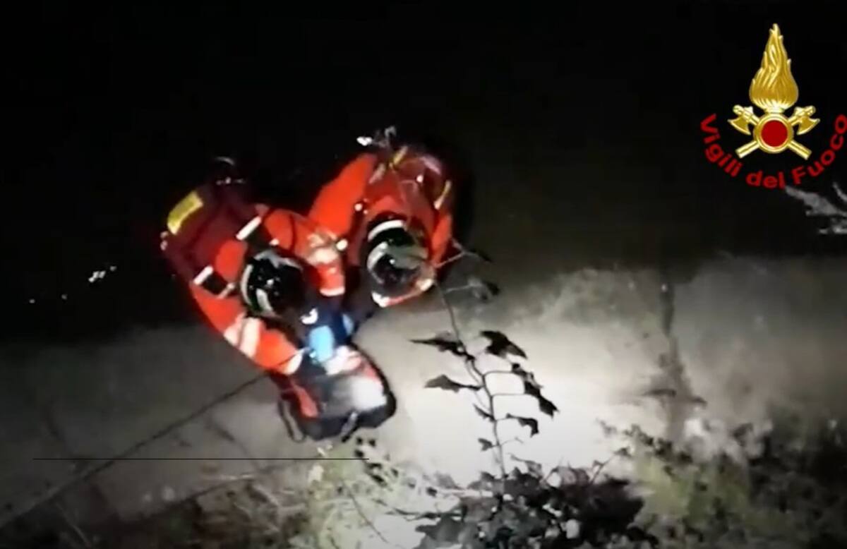 vigili del fuoco salvano un gatto sulle rive del fiume