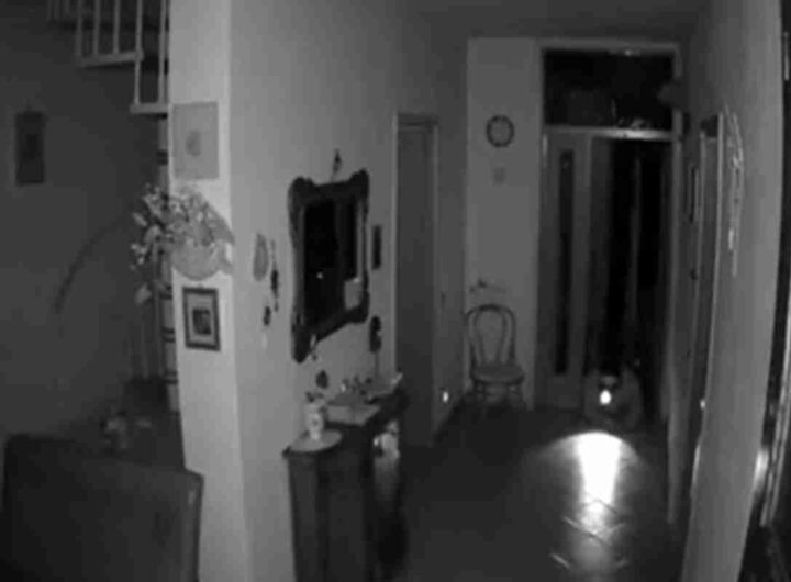 Il video di due ladri che entrano in una casa di notte