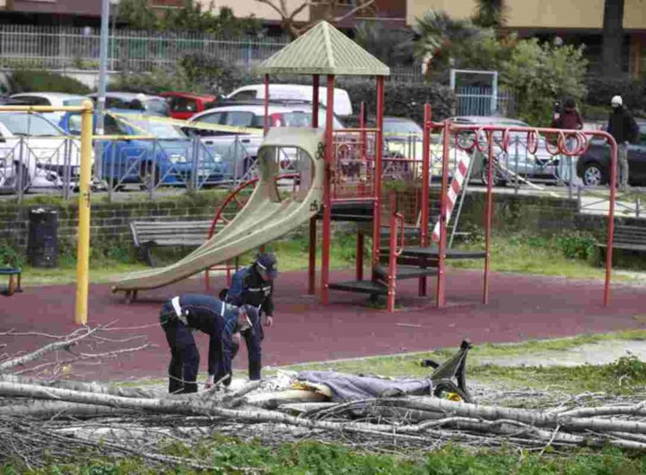 Vigili urbani al lavoro nel parco Labor a Roma