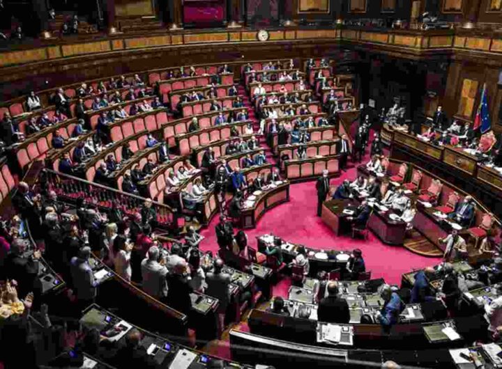 Il senato