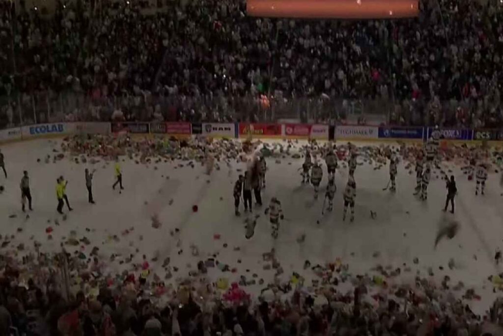 Migliaia di peluche lanciati dai tifosi sul campo da hockey