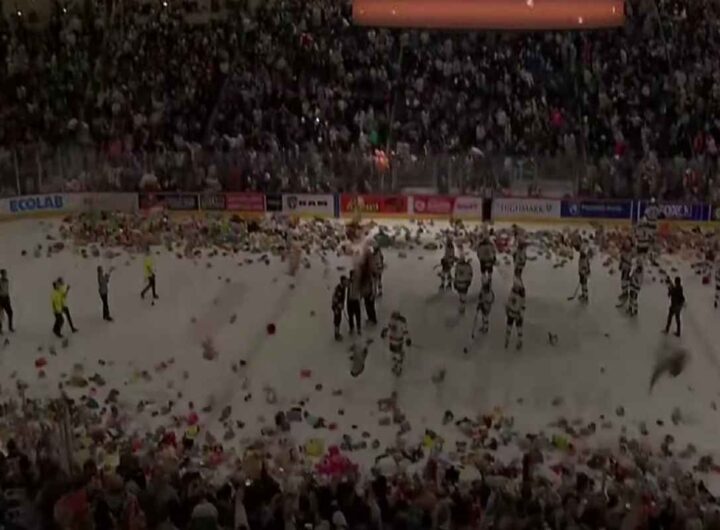 Migliaia di peluche lanciati dai tifosi sul campo da hockey