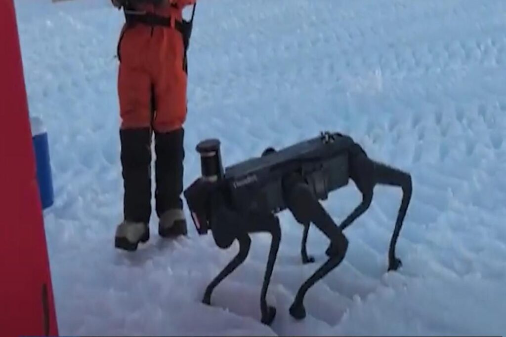 Cane robot cinese sulla neve