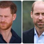 Harry e William hanno fatto pace?