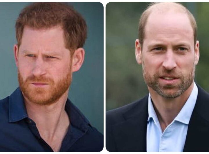 Harry e William hanno fatto pace?