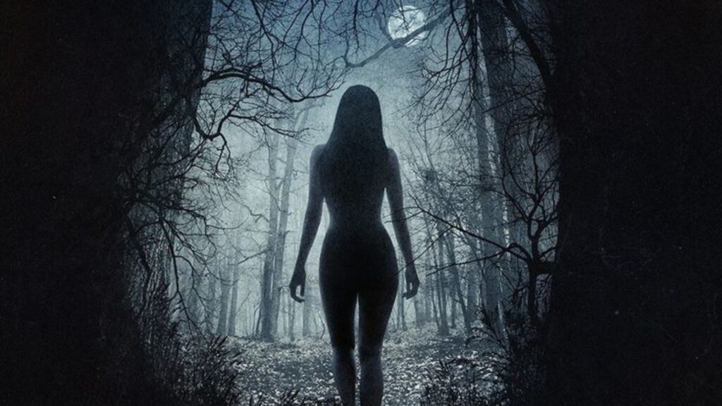 La locandina del film The Witch