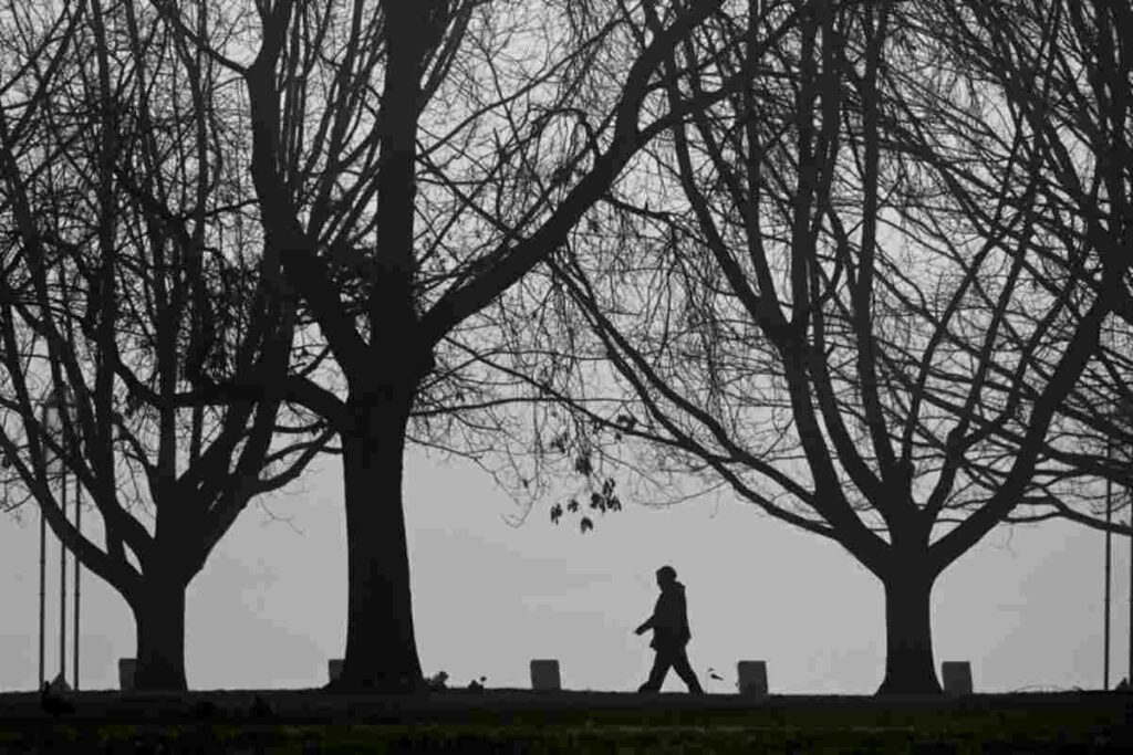 Un uomo cammina sotto alcuni alberi d'inverno